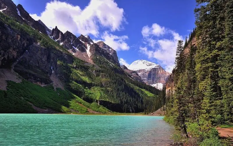 先进高质量